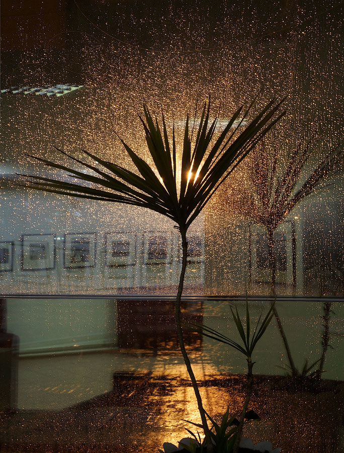 photo "Under the gold of rain" tags: interior, rain, reflections, золото