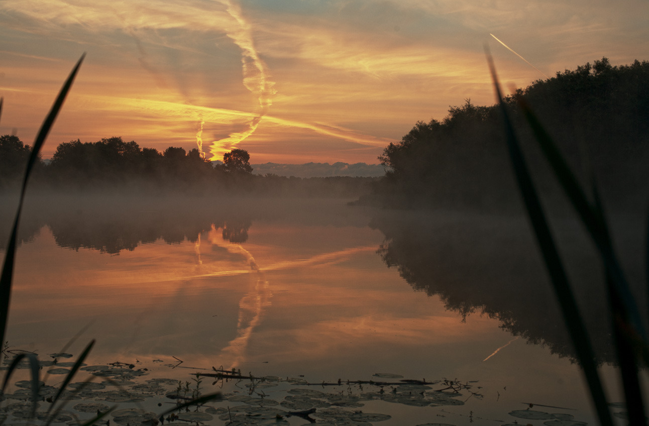 фото "Летний рассвет на реке Костроме" метки: путешествия, природа, пейзаж, вода, горизонт, кострома, река, солнце, сумерки, туман, утро