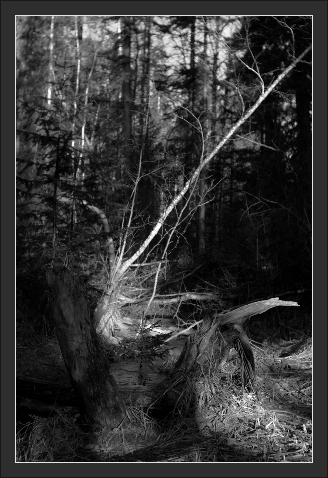 фото "***" метки: пейзаж, черно-белые, 