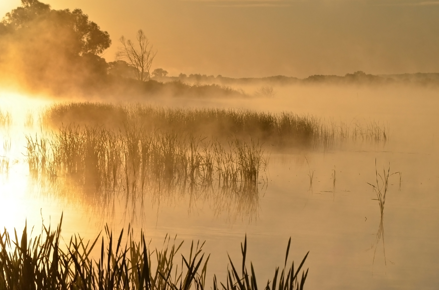 photo "***" tags: landscape, sun, sunrise, water, утренняя заря