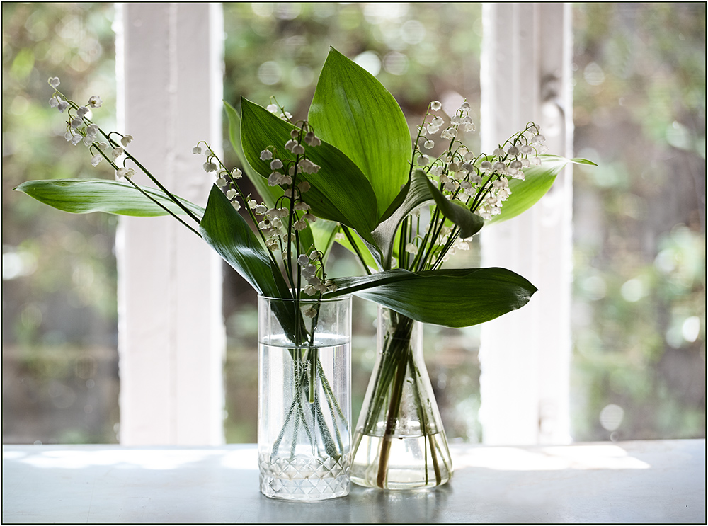 photo "***" tags: still life, 