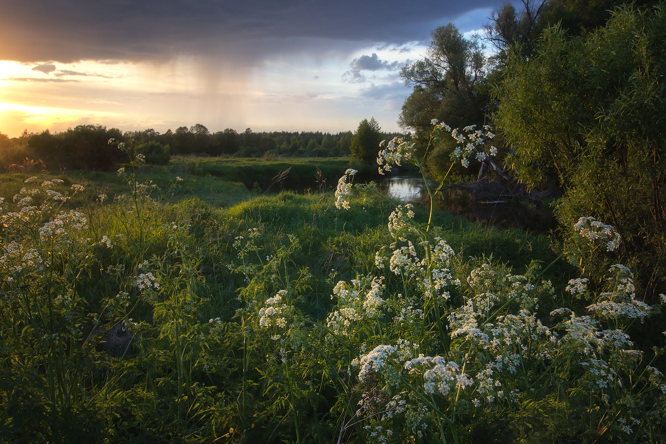 photo "***" tags: , evening, summer, sunset, Шерна