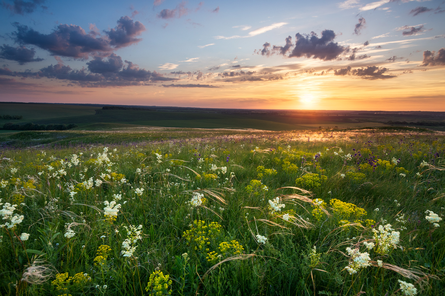 фото "***" метки: пейзаж, 