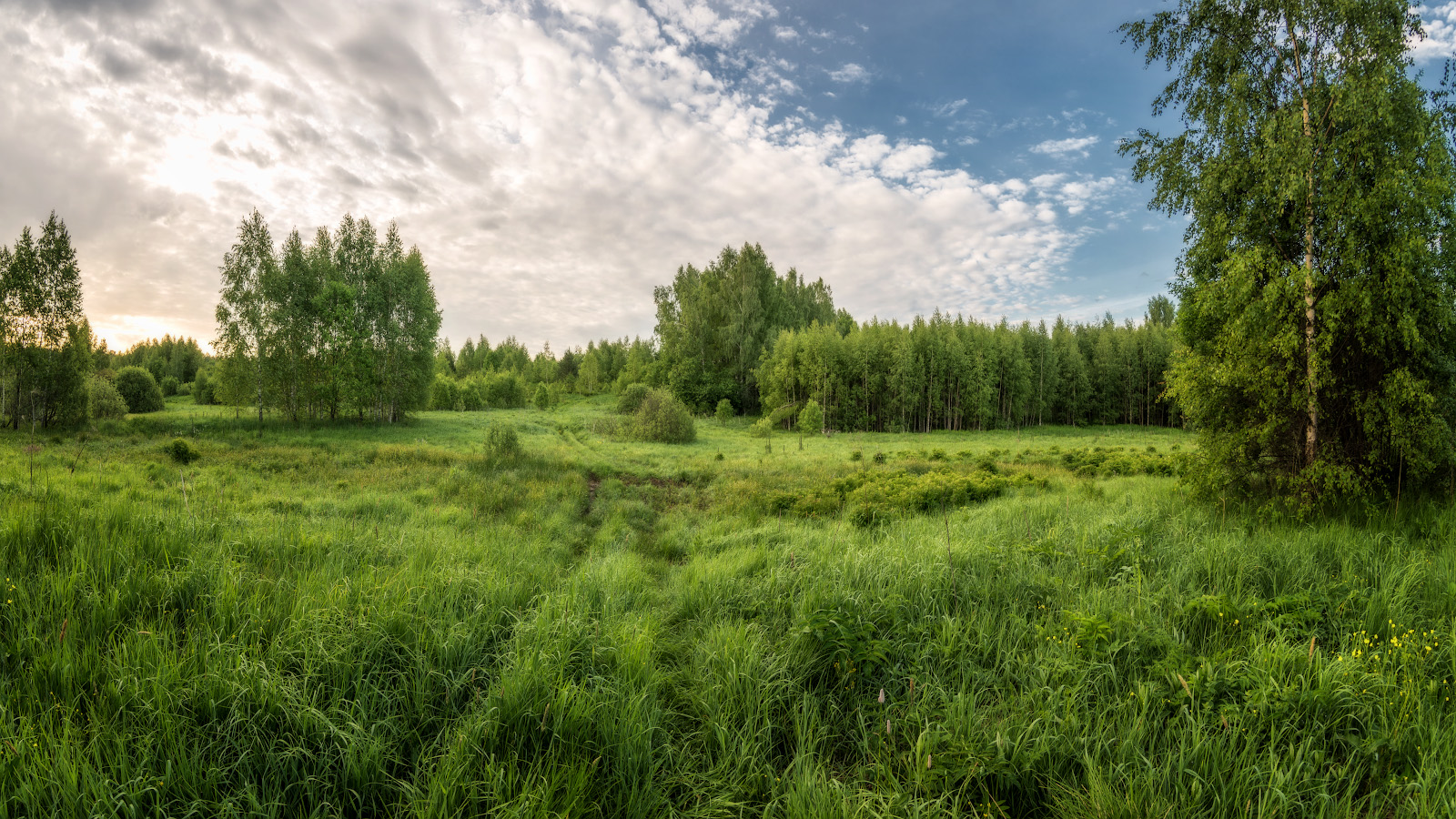 фото "начало лета" метки: пейзаж, природа, панорама, 