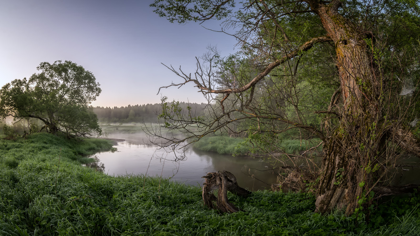 photo "***" tags: nature, landscape, 