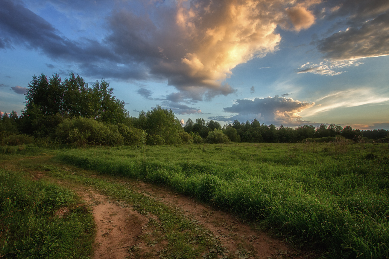 photo "***" tags: landscape, evening, road, summer, sunset