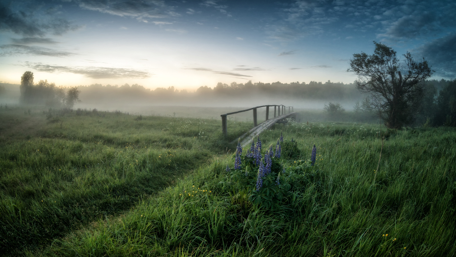 photo "***" tags: landscape, nature, 