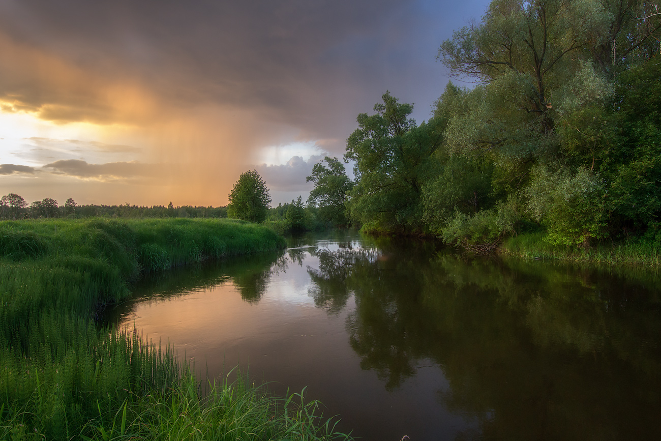 photo "***" tags: landscape, river, summer, sunset, water, Шерна