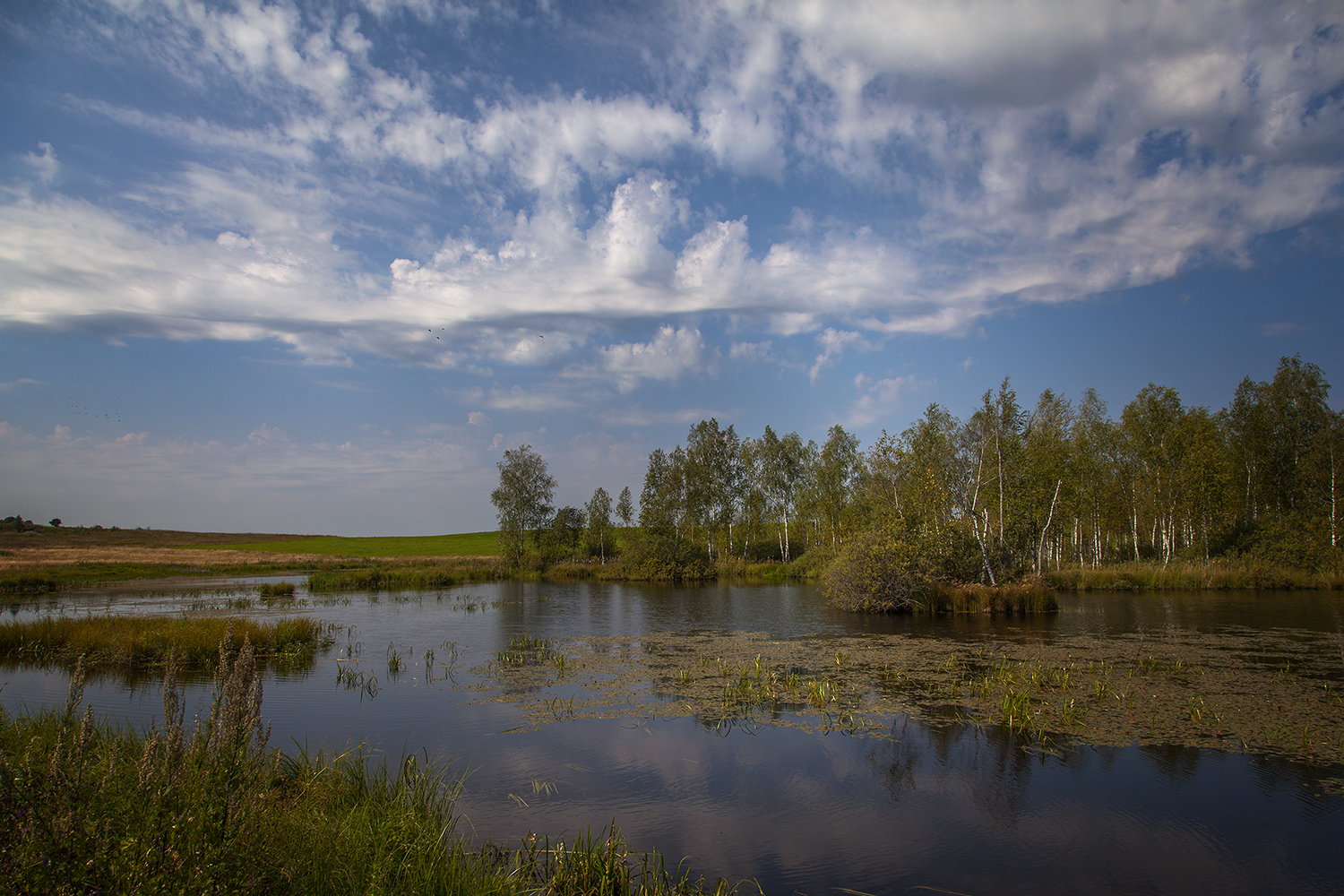 фото "***" метки: пейзаж, 