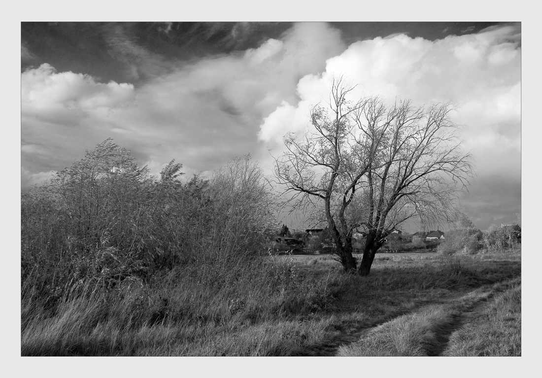 photo "***" tags: black&white, landscape, autumn, clouds