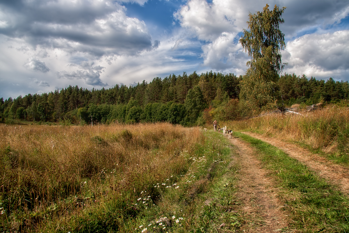 photo "***" tags: landscape, genre, summer