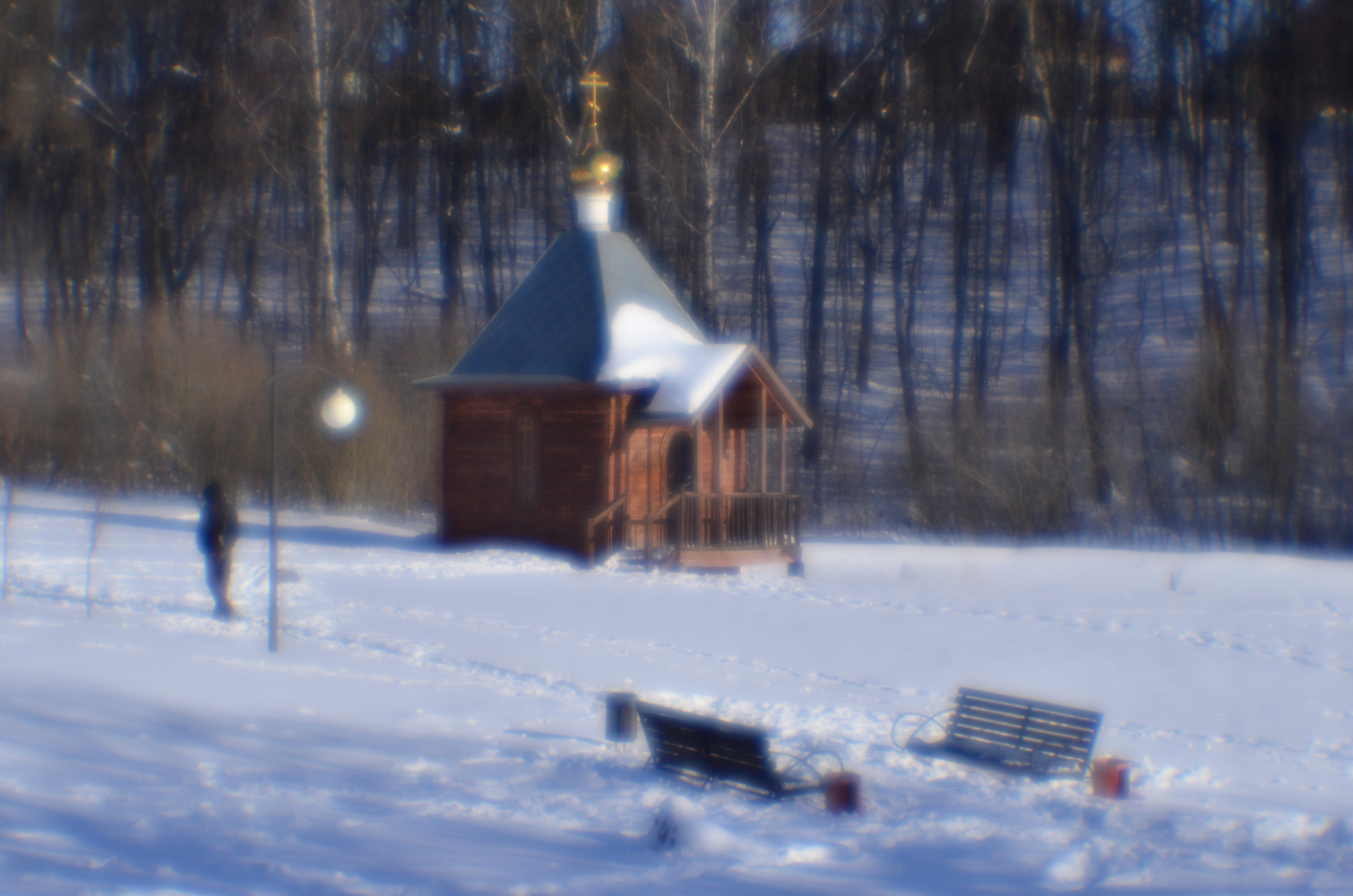 фото "На прогулке." метки: пейзаж, зима, монокль, парк, прогулка, храм