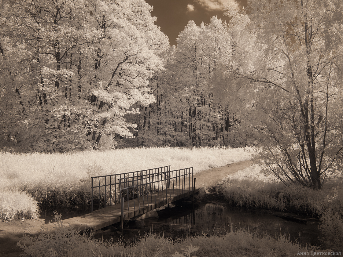 photo "***" tags: landscape, bridge, summer, ИК