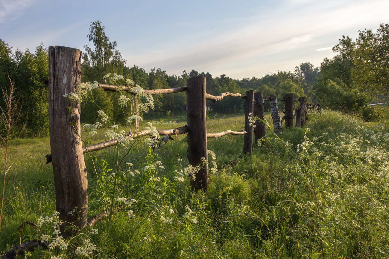 photo "***" tags: landscape, morning, summer, волхонка