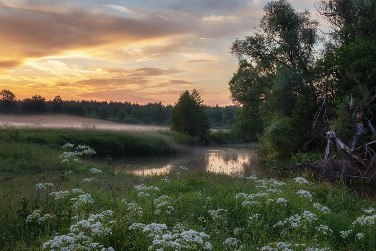 photo "***" tags: landscape, 