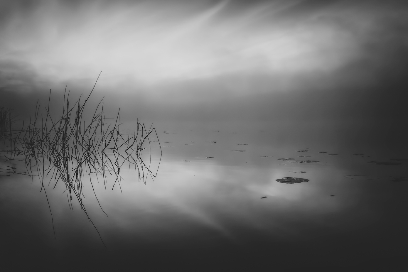 photo "***" tags: landscape, black&white, fog, morning, summer