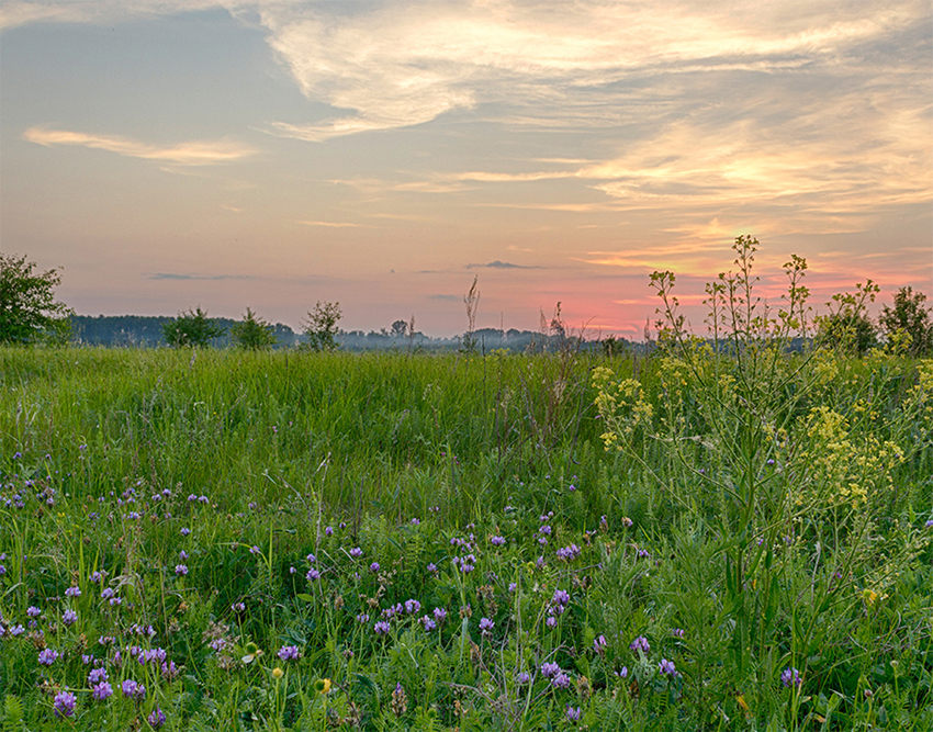 photo "***" tags: landscape, 