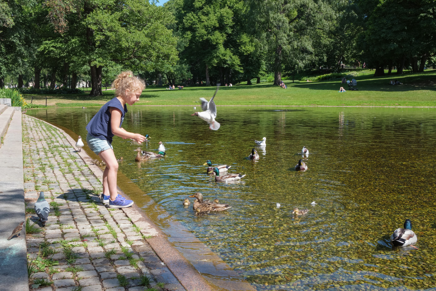 photo "***" tags: street, Europe, Norway, children, lake, Осло, чайка