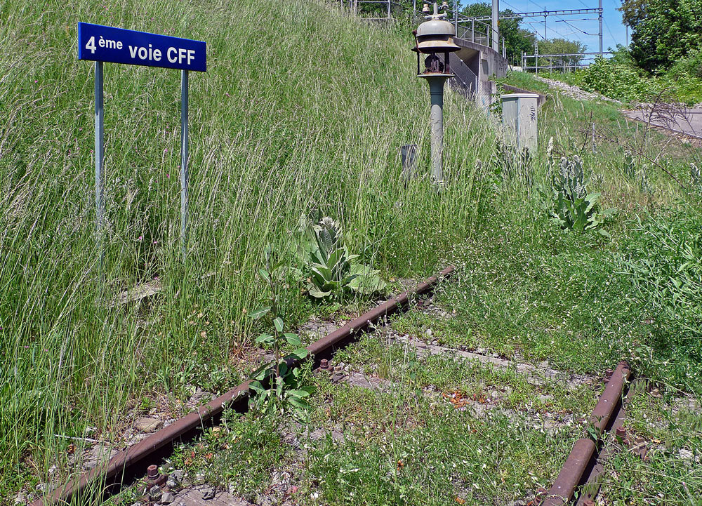 photo "***" tags: travel, landscape, street, 