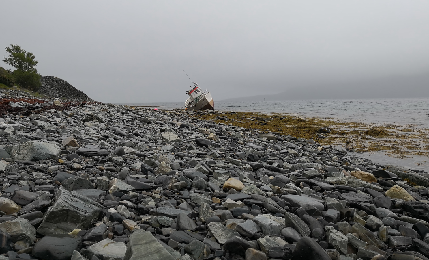 photo "In the commune of Nordkapp." tags: travel, 