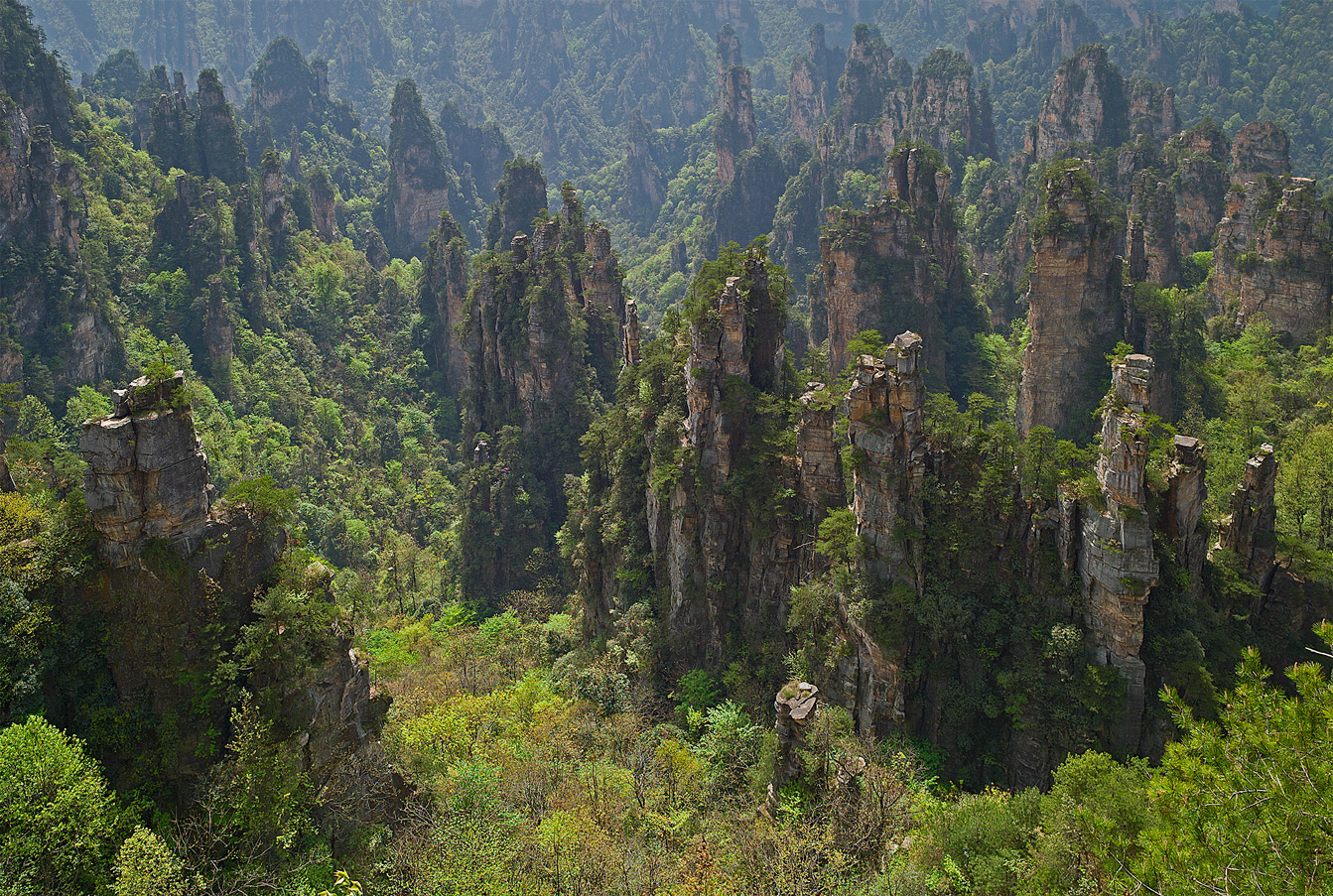 фото "Каменный лес" метки: пейзаж, путешествия, 