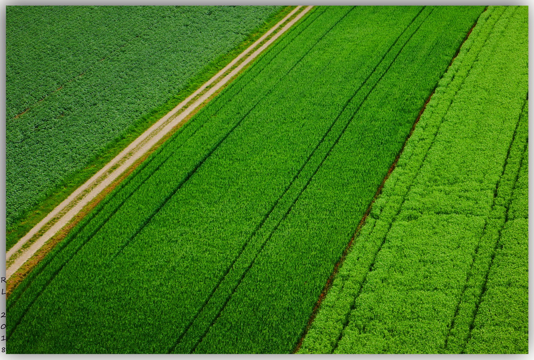 photo "Сart-road" tags: landscape, nature, Europe, summer, Швейцария