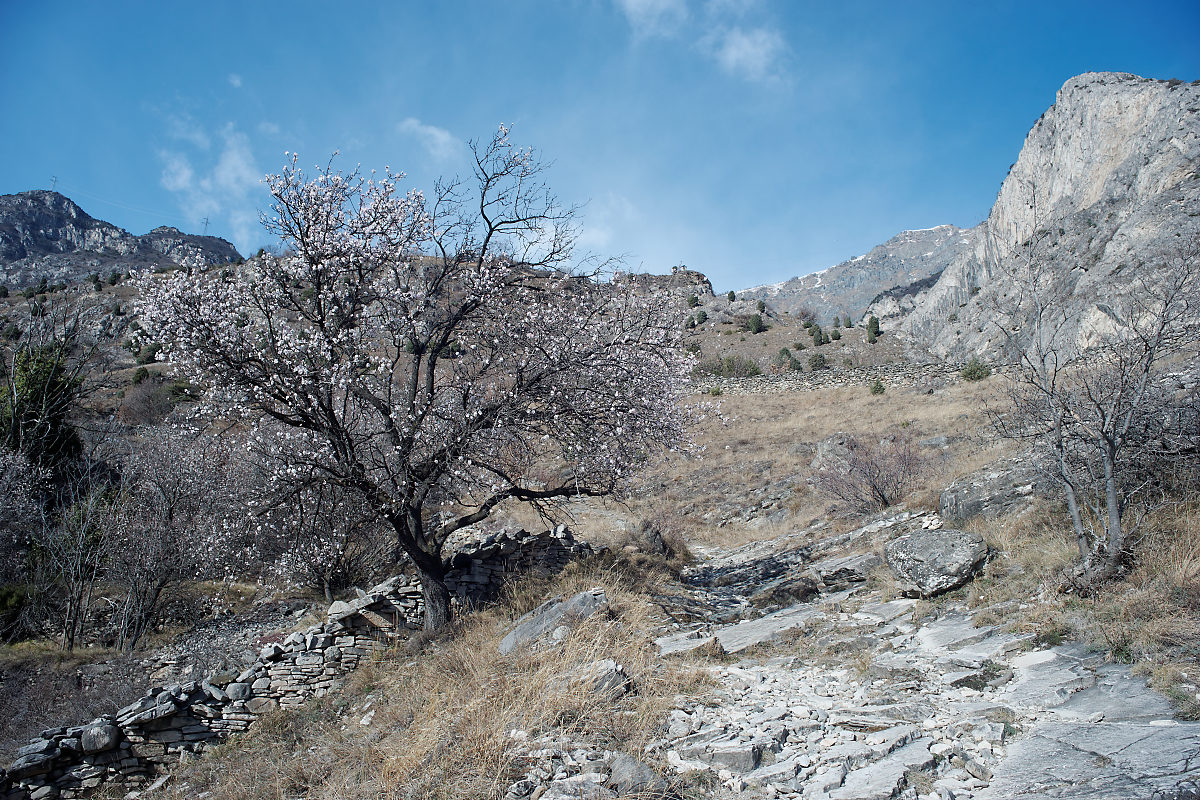 photo "***" tags: landscape, 