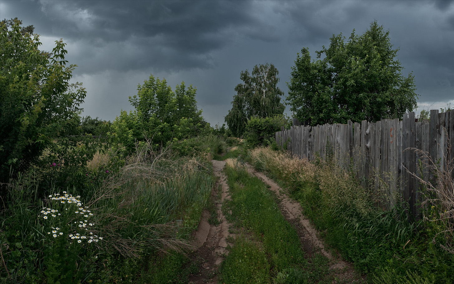 фото "Зарисовка. Перед дождём." метки: пейзаж, природа, 