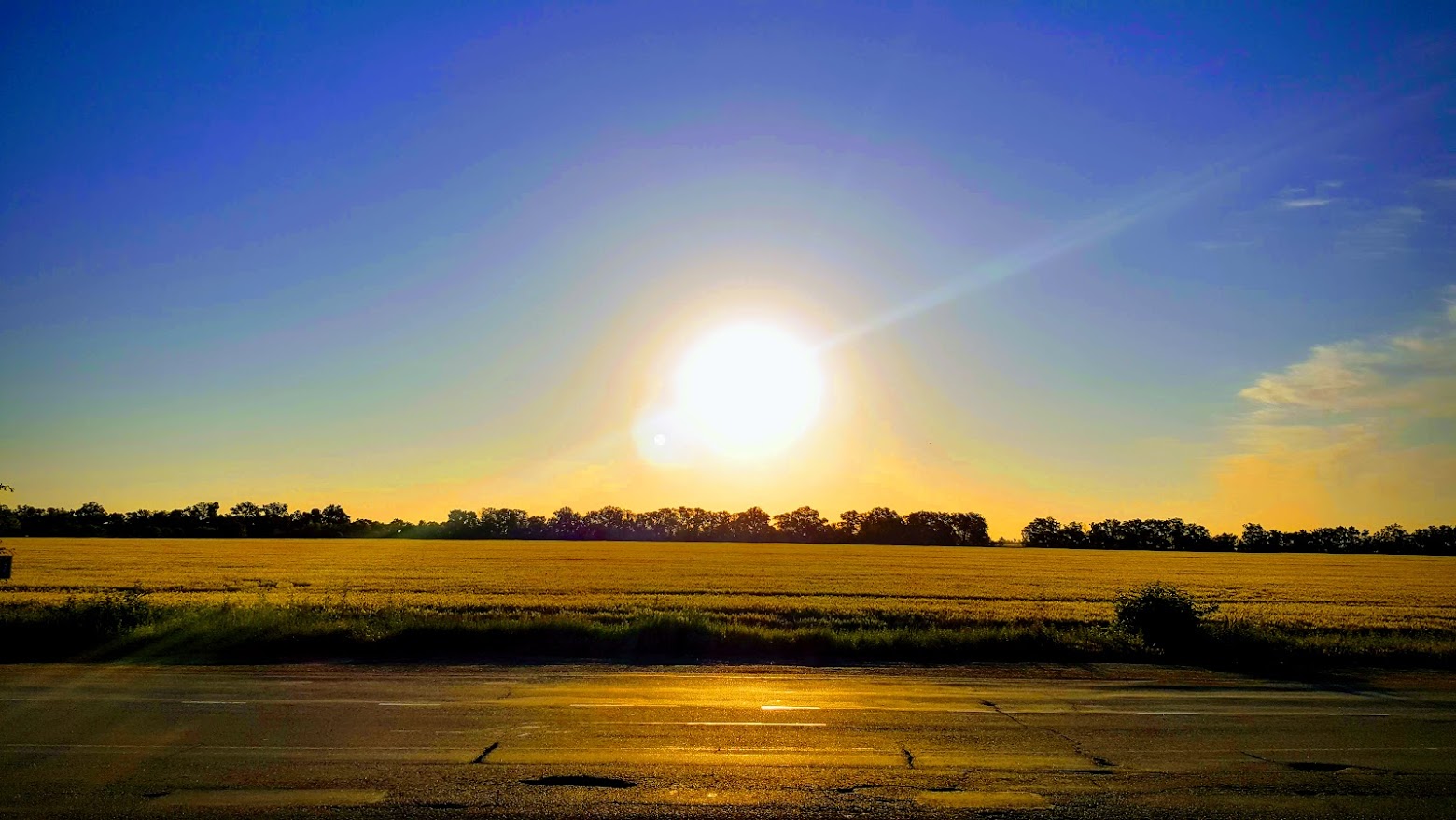 photo "***" tags: landscape, travel, nature, field, road, sky, summer, sun, Восход