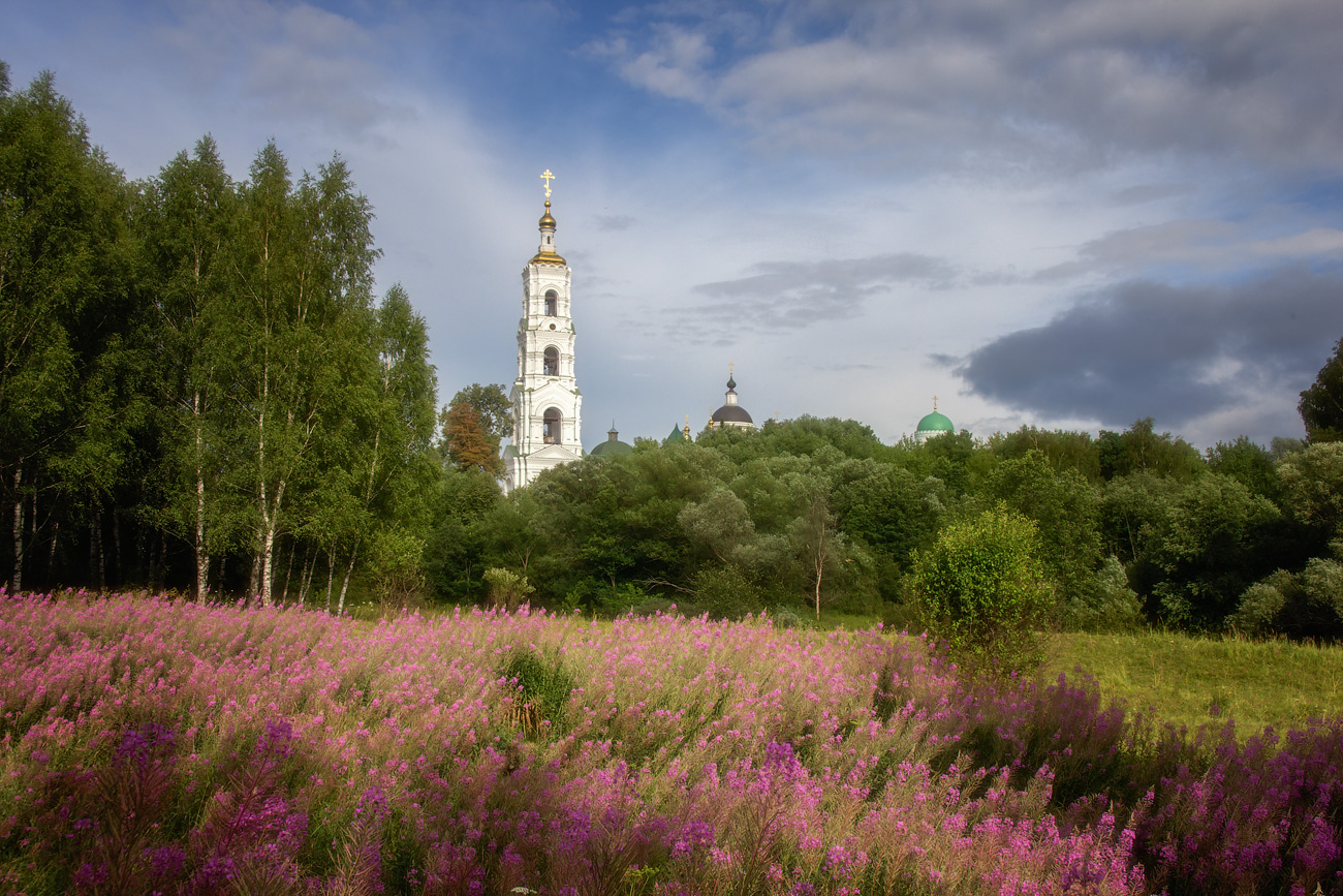 фото "Летний день" метки: пейзаж, Берлюковская пустынь