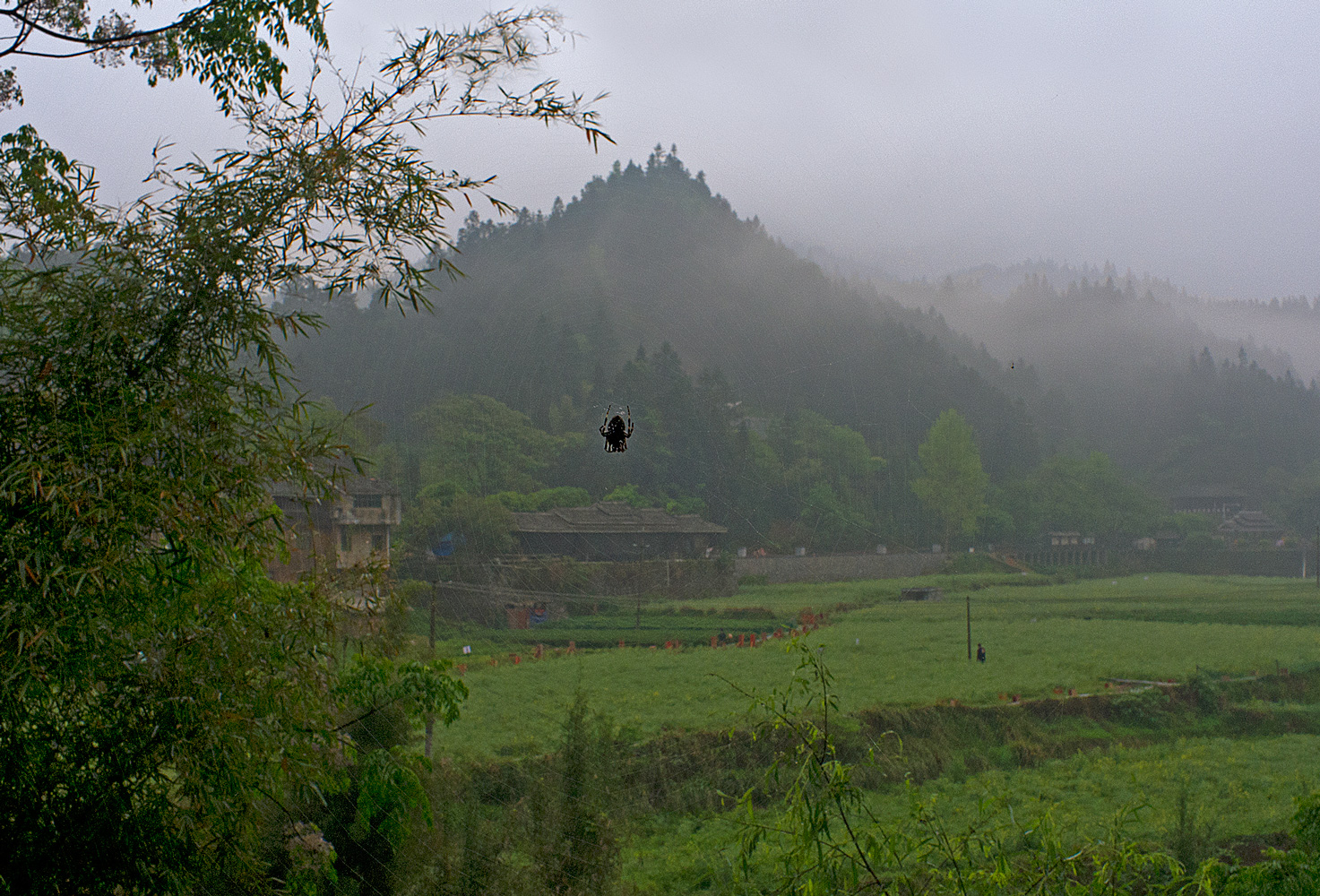 photo "***" tags: humor, landscape, travel, Китай