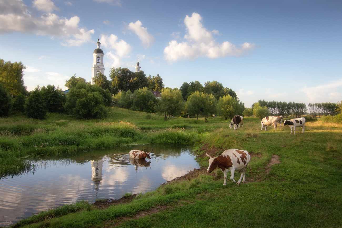 photo "***" tags: landscape, evening, river, summer, Шерна