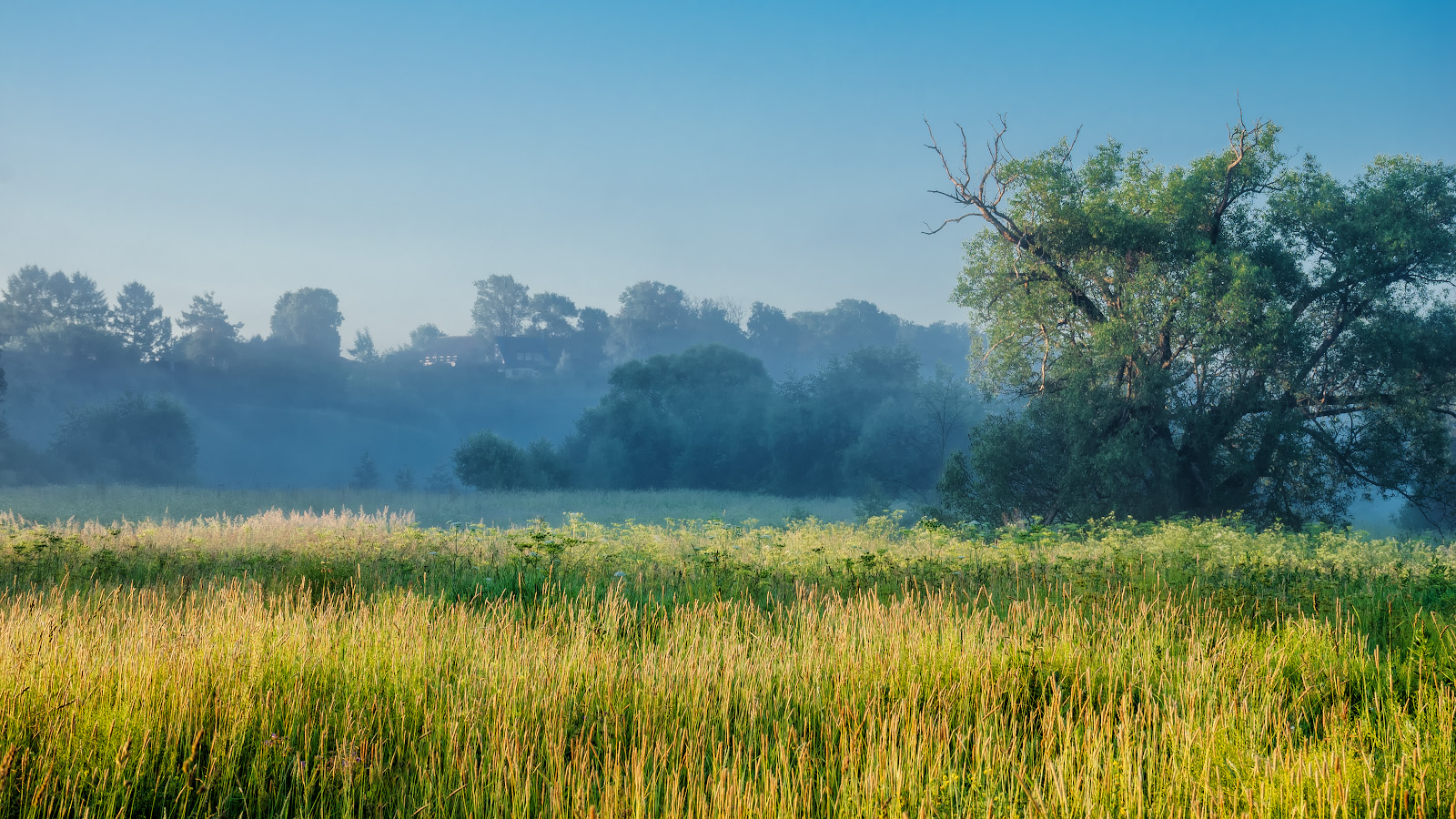 photo "***" tags: nature, landscape, 