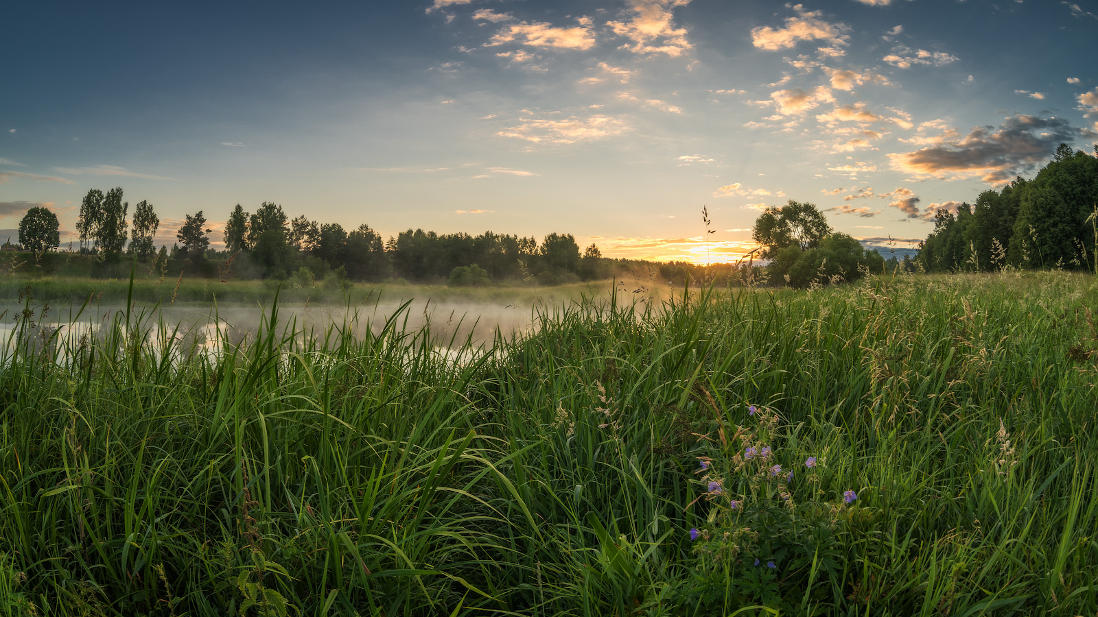 photo "***" tags: nature, landscape, 