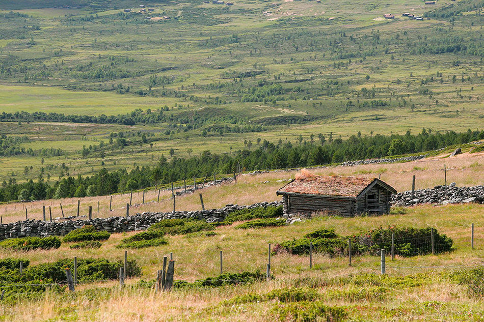 photo "Barn in the mountain valley" tags: landscape, Europe, mountains, summer