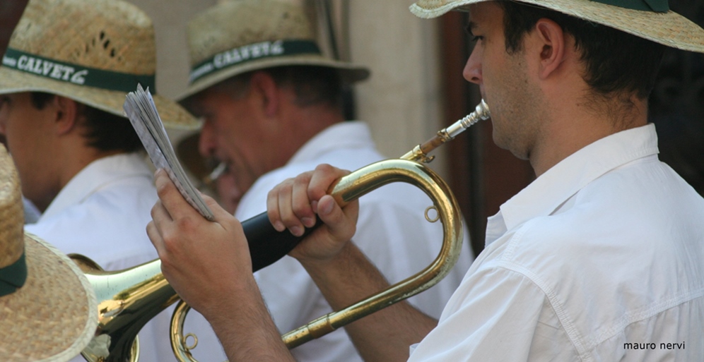 photo "musician" tags: portrait, 