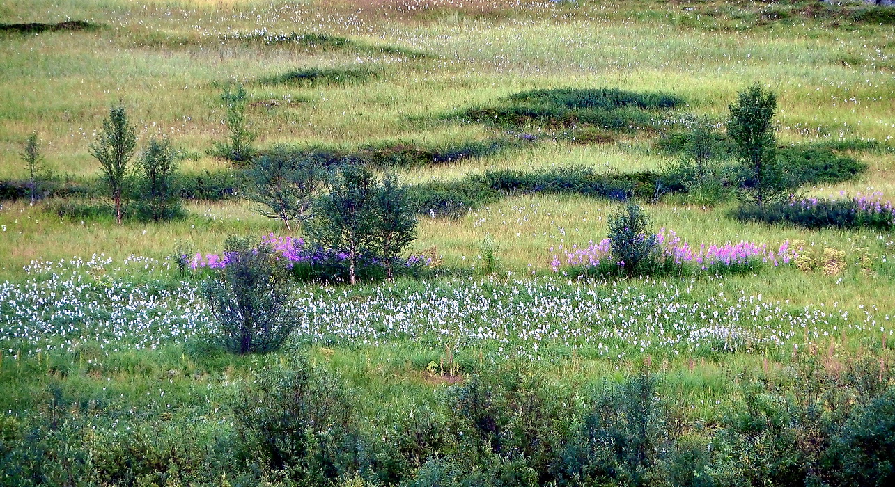 фото "***" метки: пейзаж, 