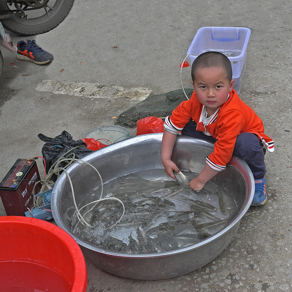 фото "Мальчик с рыбами" метки: стрит-фото, путешествия, Китай