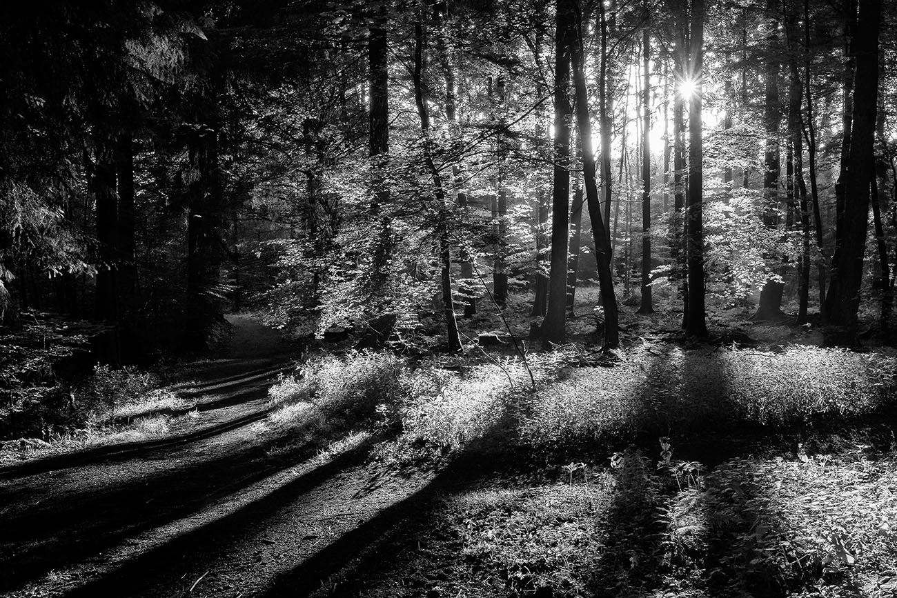 photo "meditation" tags: nature, black&white, Europe