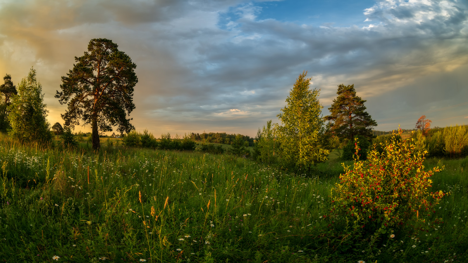 фото "первыми лучами..." метки: пейзаж, природа, 