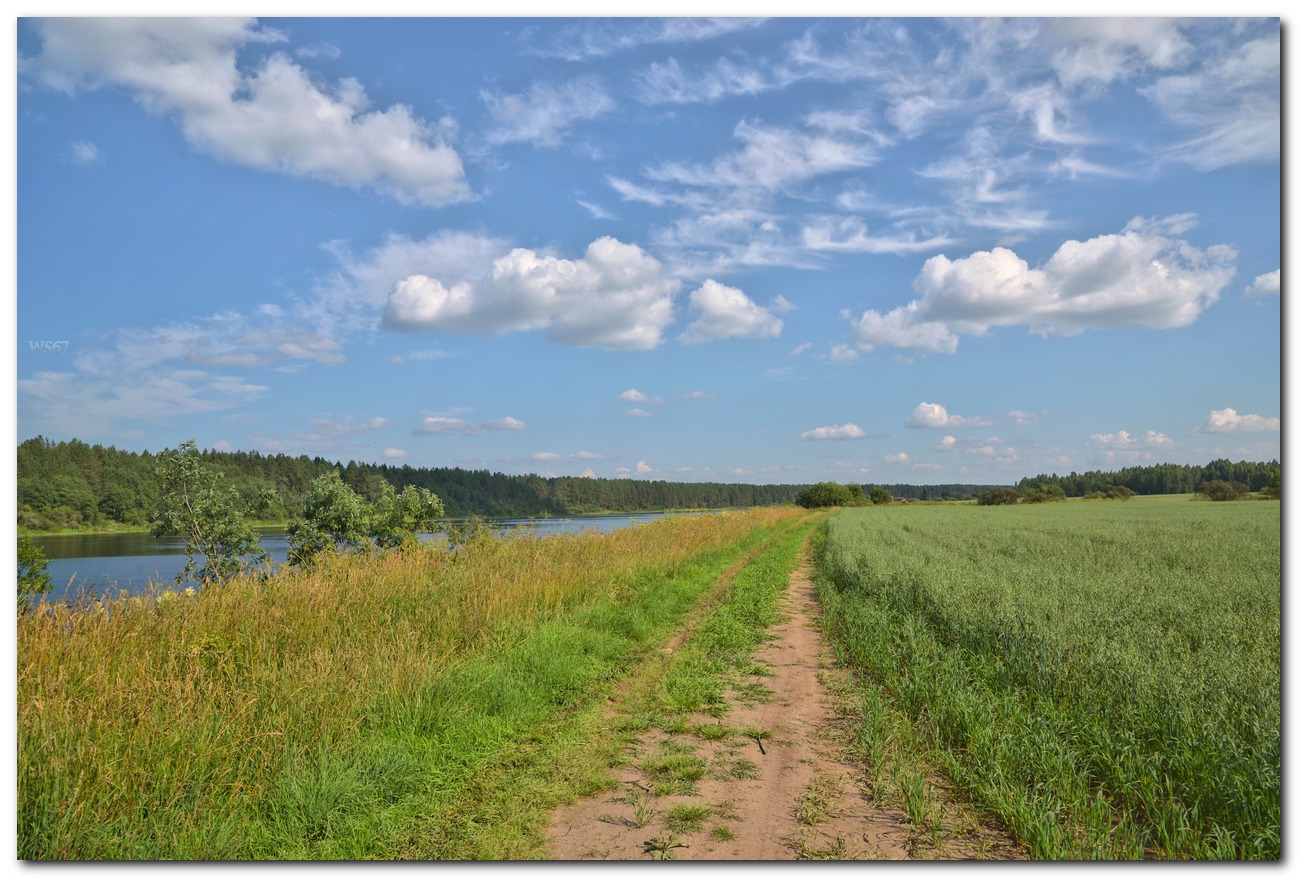фото "по дороге с облаками" метки: пейзаж, путешествия, природа, Вологодчина
