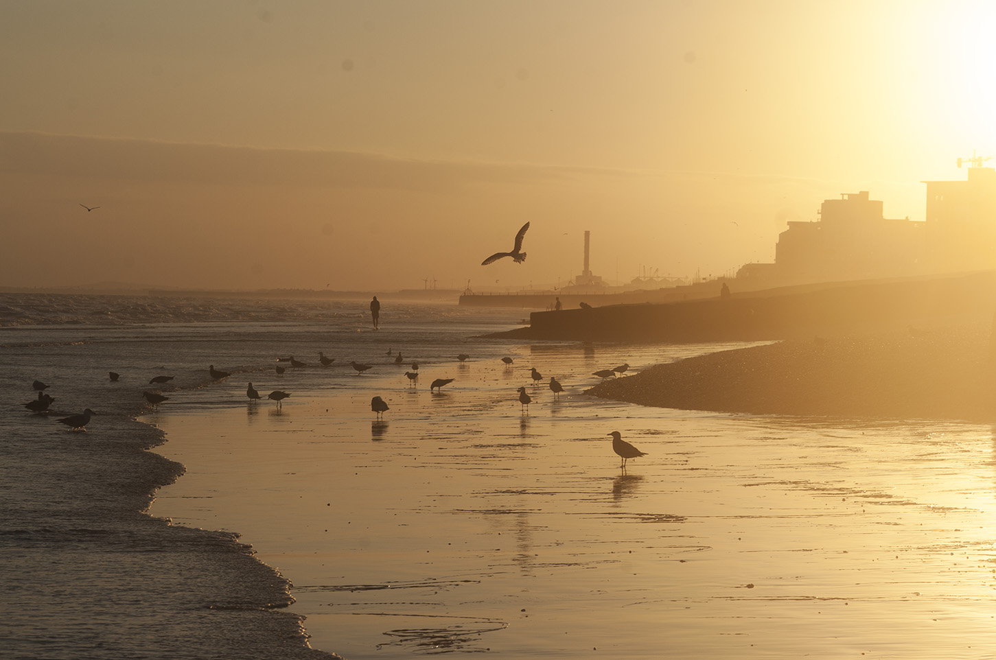 photo "Brighton" tags: travel, landscape, coast, Англия, Великобритания