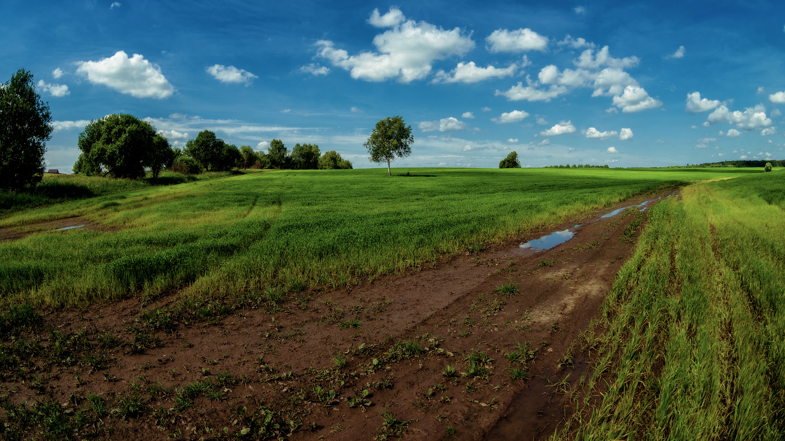 photo "***" tags: nature, landscape, 