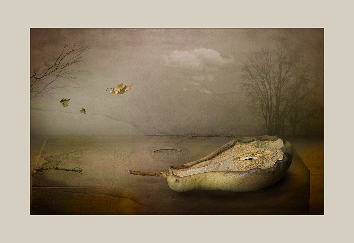 фото "ещё пять лет и пенсия..." метки: натюрморт, digital art, 