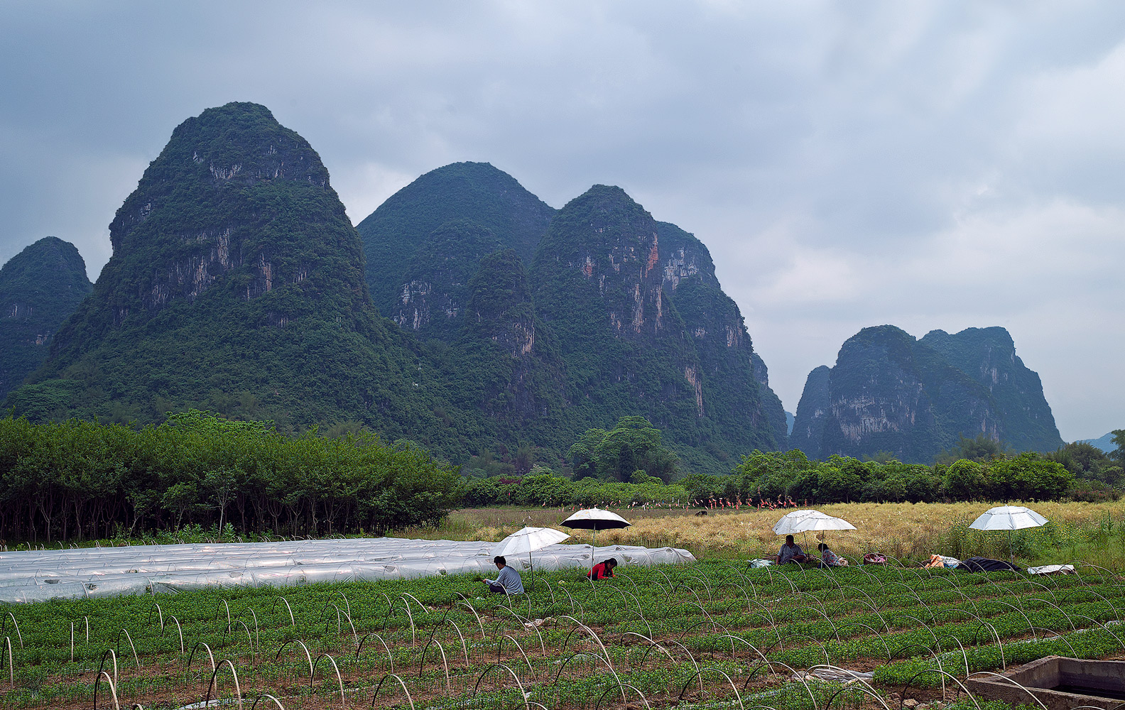 фото "На полевом стане" метки: пейзаж, путешествия, Китай