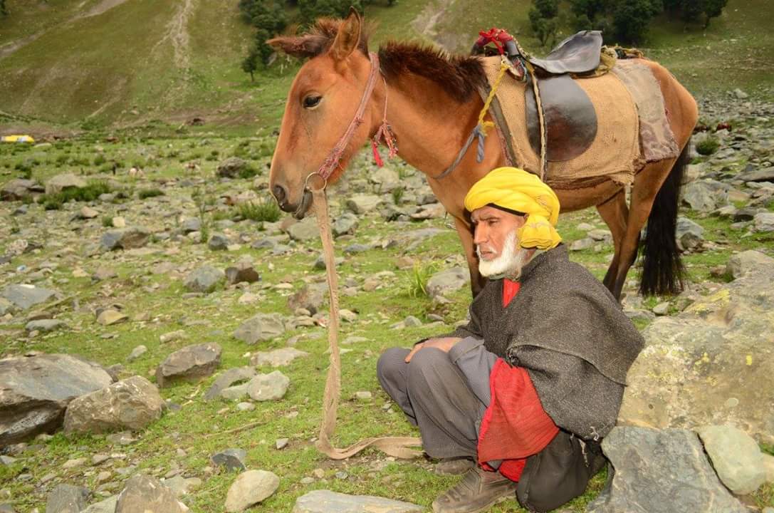 photo "Thinkers" tags: portrait, landscape, travel, Asia, Kashmir, graziers, herdsmen, highlands, himalaya, nomads, pets/farm animals