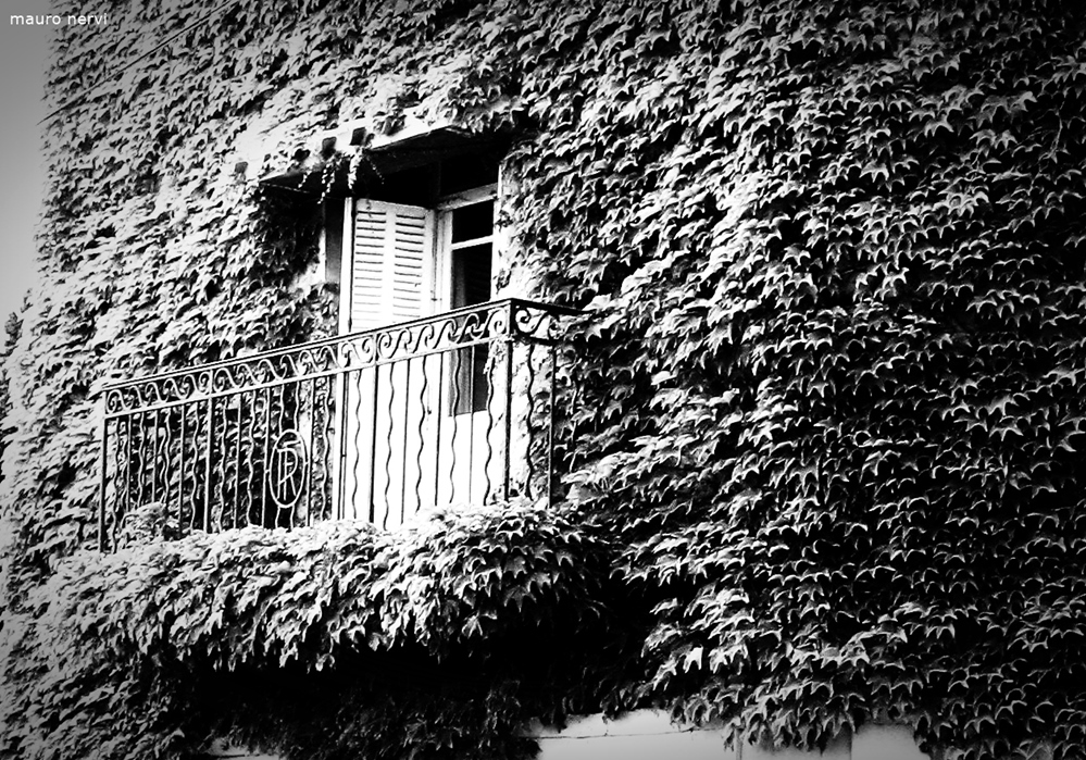 фото "the window" метки: черно-белые, 