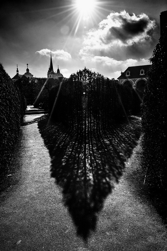 photo "Свет и Вальдштейнский сад" tags: black&white, Prag, Prague, Praha