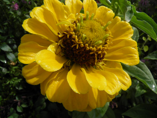 photo "Summer" tags: reporting, 