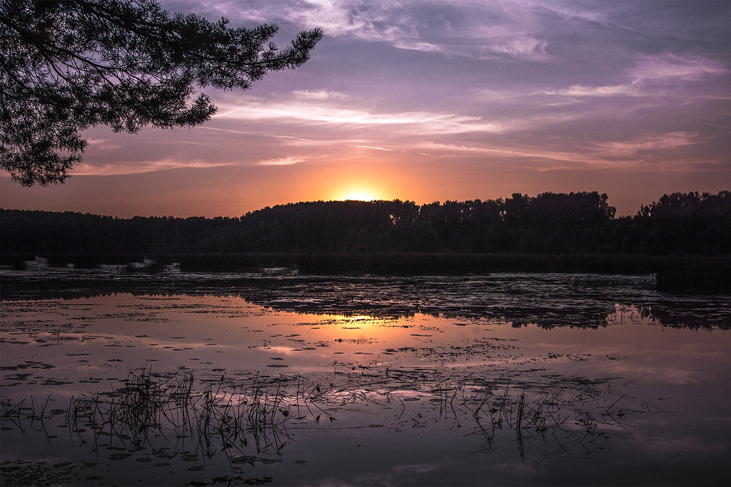 photo "***" tags: landscape, clouds, sky, вечерний пейзаж, деревенский пейзаж, пейзаж на закате, российский пейзаж, русская природа